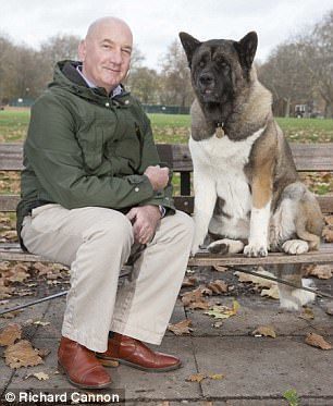 飼い主の失神を予知する秋田犬フローラ イギリスの動物ニュースより おすすめ四次元ポケット