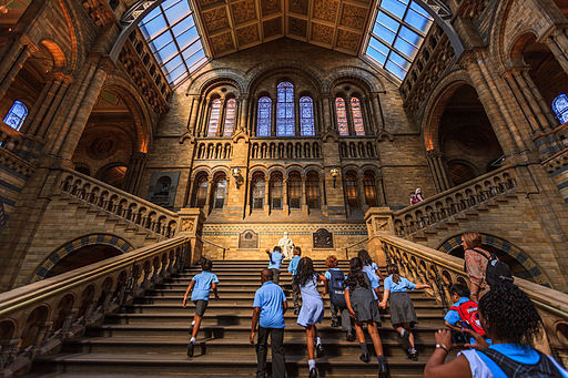 512px-Natural_History_Museum_UK - Rs[.jpg