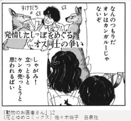 みる 名言 名場面ご紹介 漫画 動物のお医者さん カンガルーの営業部長 おとしぶみ おすすめ作品 エピソードご紹介