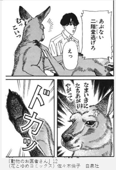 みる 名言 名場面ご紹介 漫画 動物のお医者さん カンガルーの営業部長 おとしぶみ おすすめ作品 エピソードご紹介